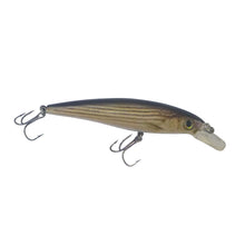 Load image into Gallery viewer, Finesse Naturals Minnow 100 Diving Lure