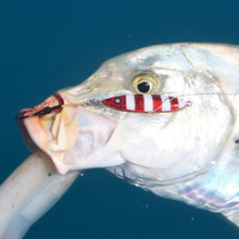 Load image into Gallery viewer, The Reef Jigger Gift Pack
