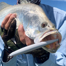 Load image into Gallery viewer, Travellers Lure Fishing Gift Pack