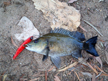 Load image into Gallery viewer, Toppu Mizzu Sidewinder Bent Minnow, 95mm, Gold Flare