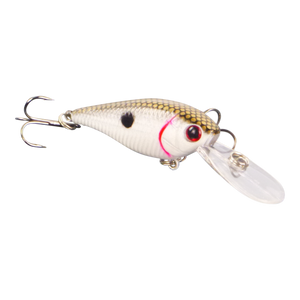 Floating Deep Diving Lure