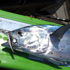 Toppu Mizzu Sidewinder Bent Minnow, 95mm, Baitfish
