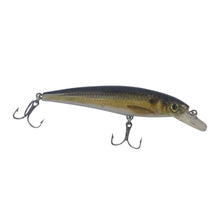 Load image into Gallery viewer, Finesse Naturals Slimy Mack 100 Diving Lure