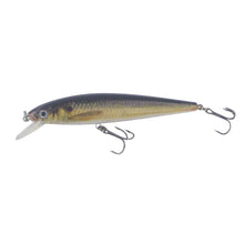 Load image into Gallery viewer, Finesse Naturals Slimy Mack 160 Diving Lure