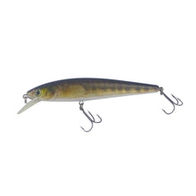 Load image into Gallery viewer, Finesse Naturals Stripey 160 Diving Lure