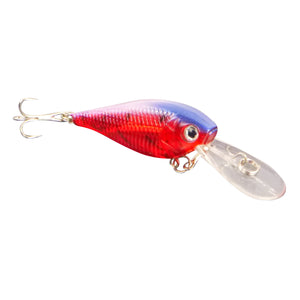 Floating Deep Diving Lure