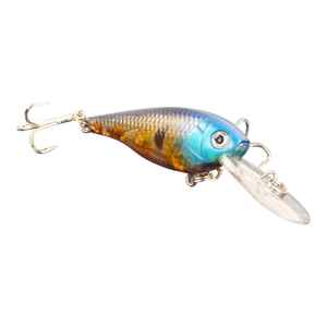 Floating Deep Diving Lure