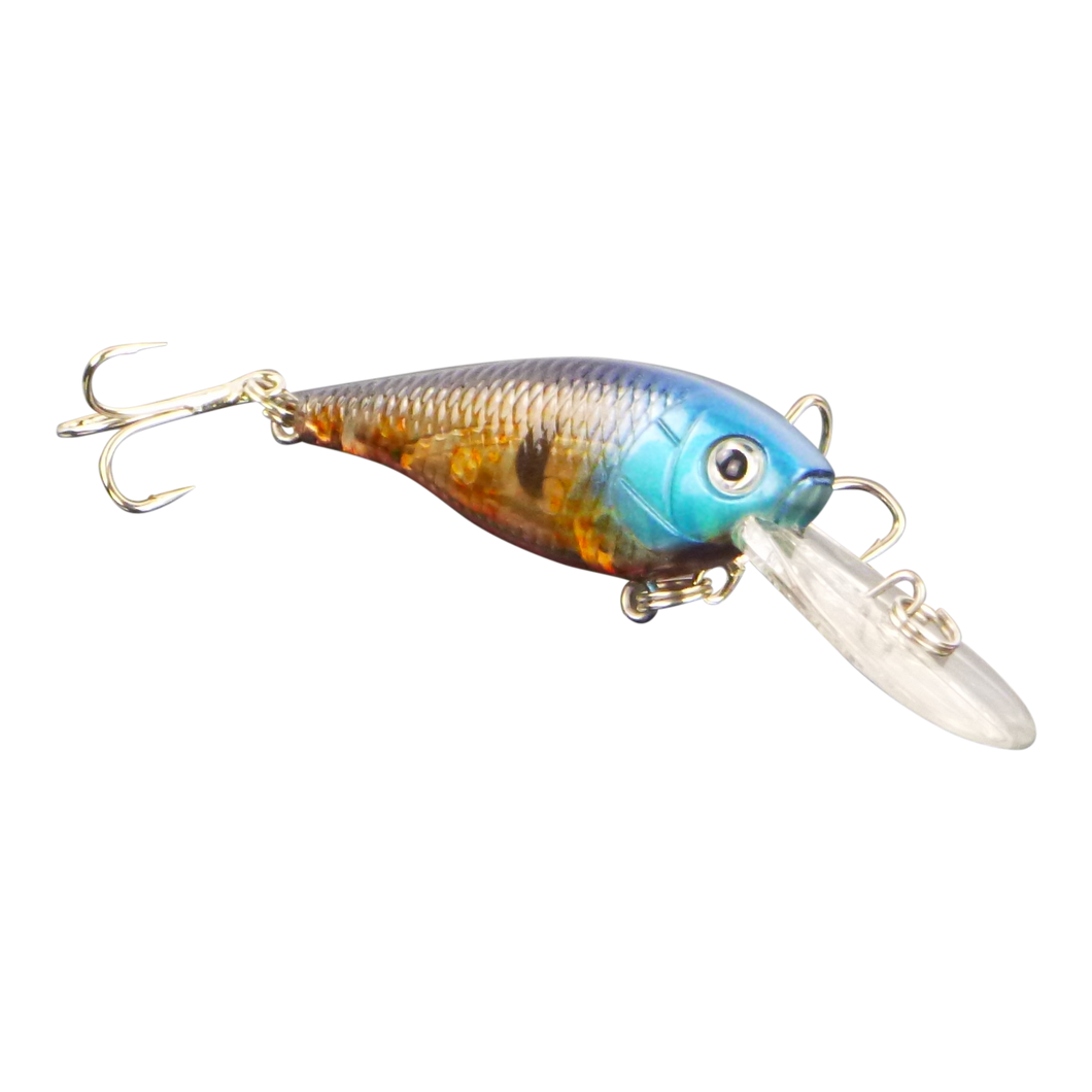 Floating Deep Diving Lure