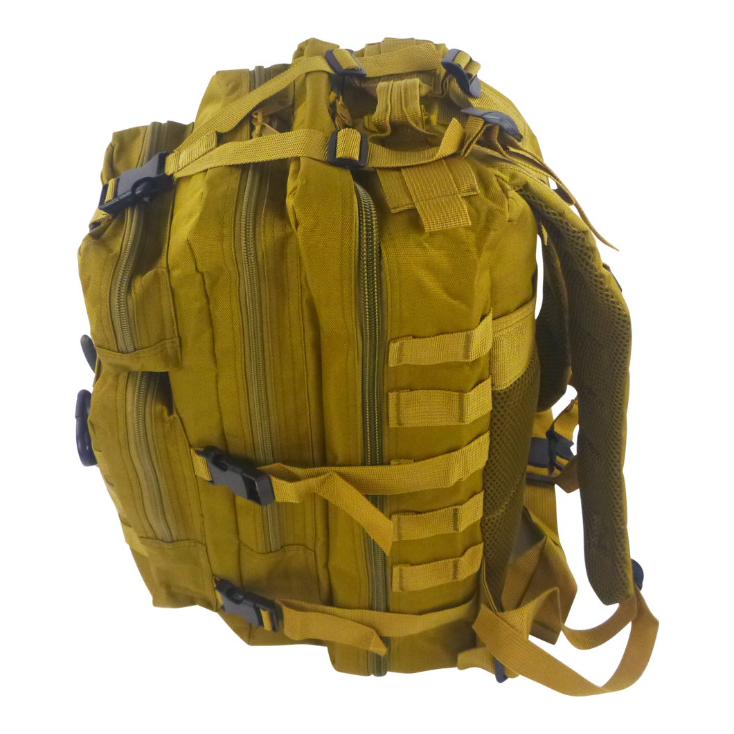 BSTC Fishers Back Pack, Tan