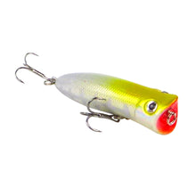 Load image into Gallery viewer, 169 series Surface Popper
