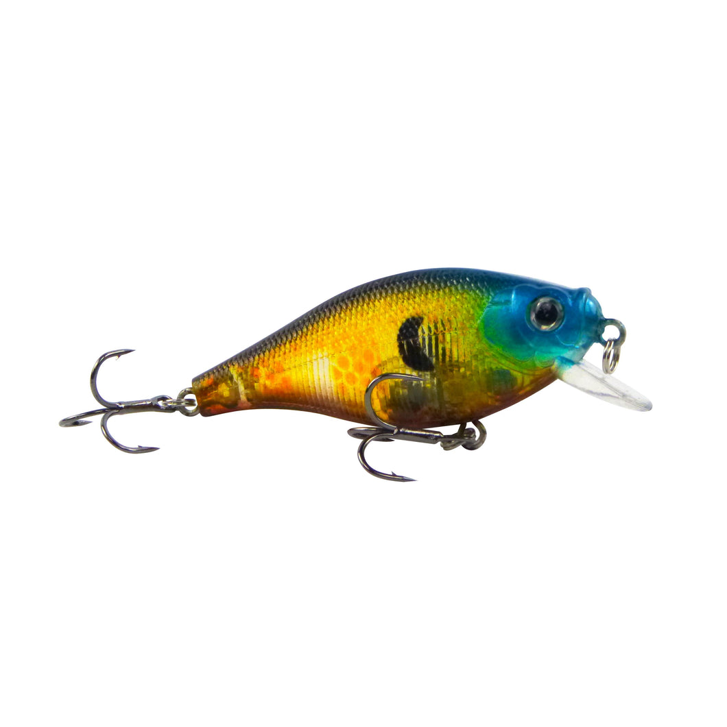 Shallow Diving Hard Body Lure