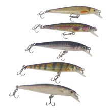 Load image into Gallery viewer, Finesse Naturals Rainbow 60 Diving Lure